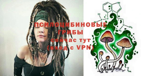 PSILOCYBIN Алексеевка