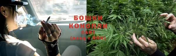 PSILOCYBIN Алексеевка