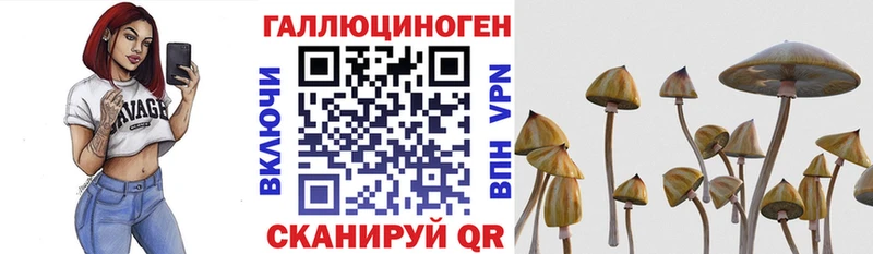 продажа наркотиков  Зеленоградск  Галлюциногенные грибы прущие грибы 