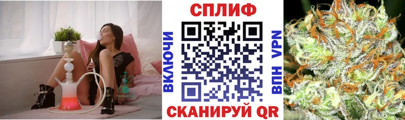 дарк нет телеграм  Зеленоградск  Бошки марихуана конопля 